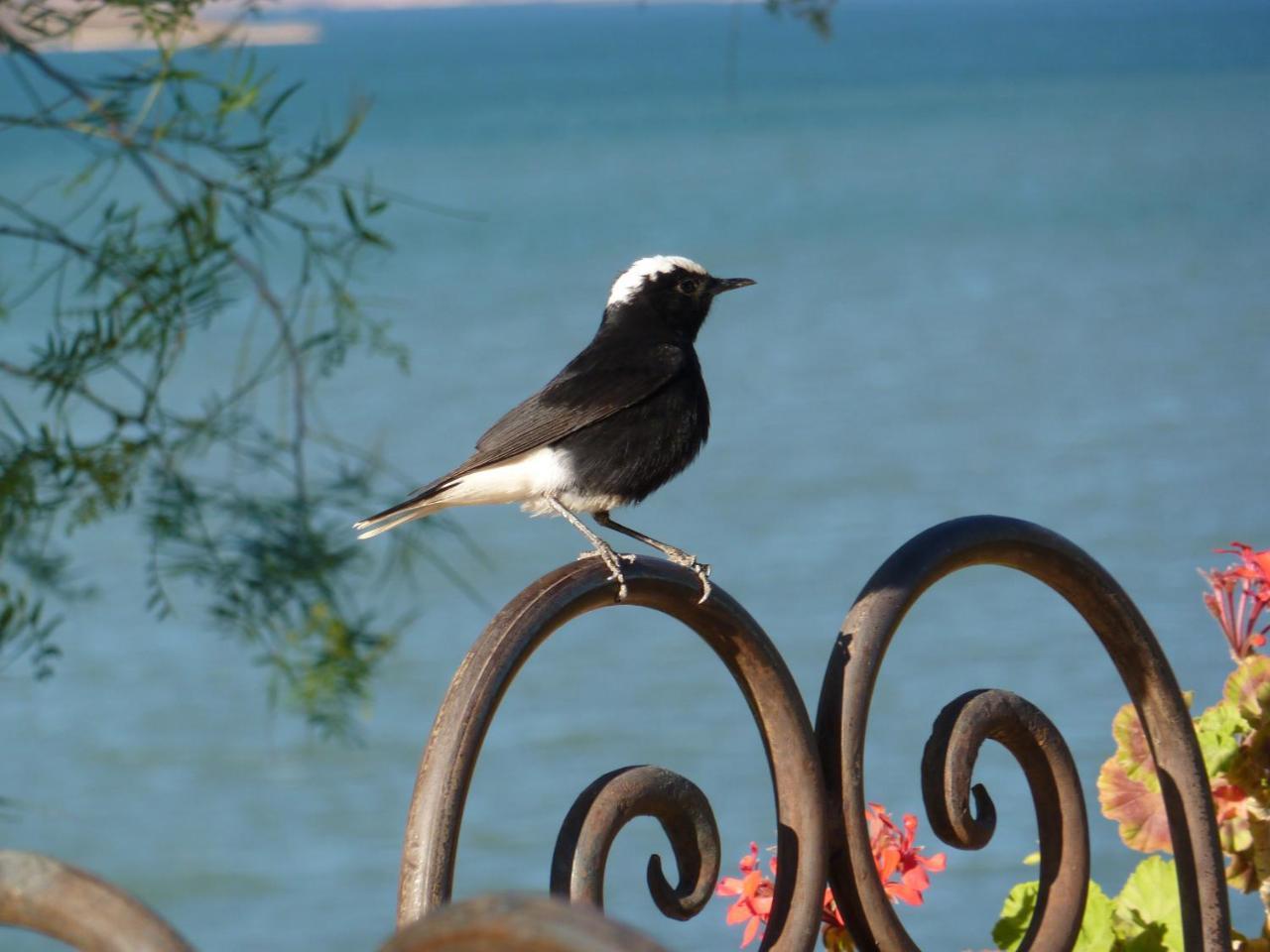 Bed and Breakfast Les Tourmalines Afeggou Екстер'єр фото